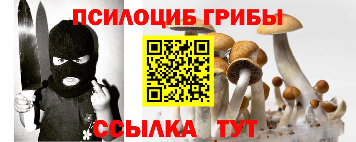Галлюциногенные грибы мухоморы  где купить наркоту  Саратов  Вход с VPN 